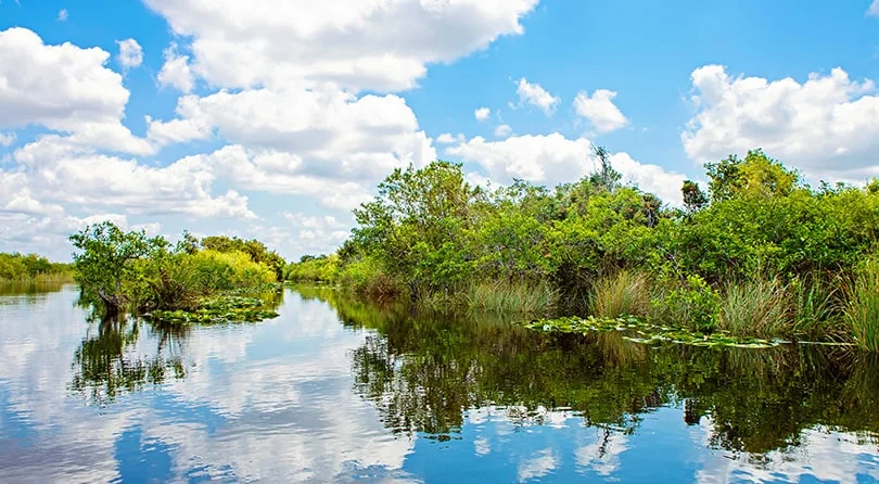 A lake on a sunny day.