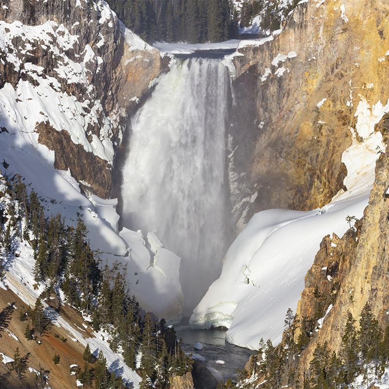 Lower Falls in the Grand Canyon of Yellowstone
