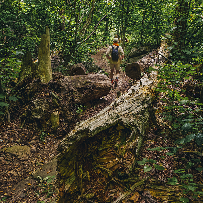 A man hikes on the Whiteoak Canyon  Trail, Shenandoah National Park, Virginia.