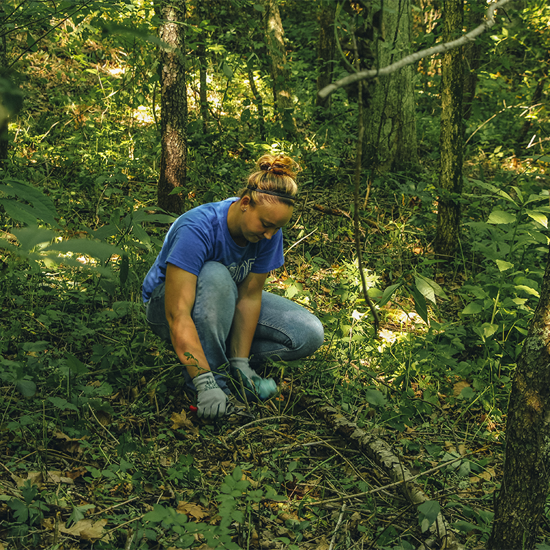 A woman studies plant life in an Arc of the Appalachia Preserve