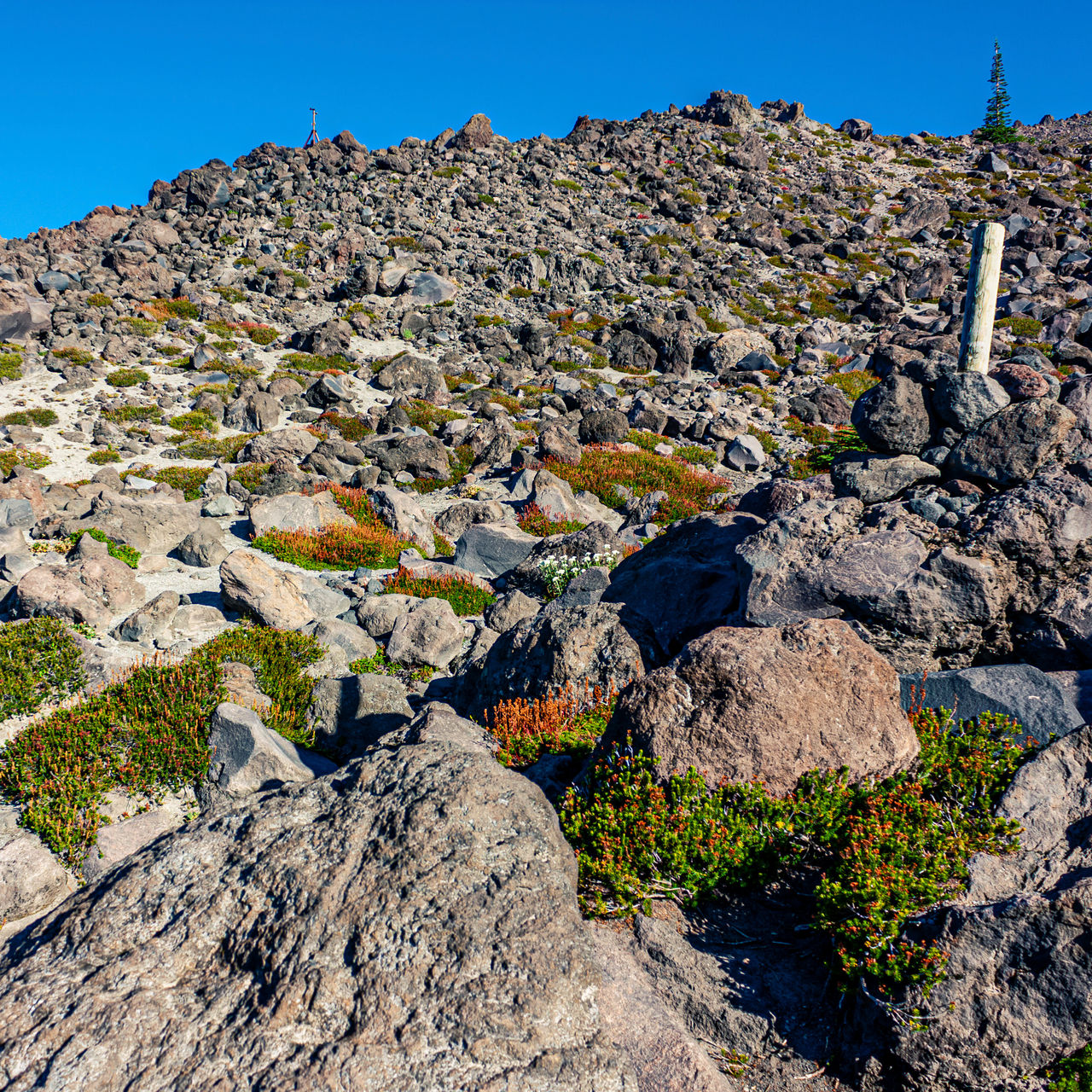 Mt St Helens Monitor Ridge Rock Scamble