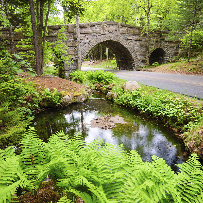 Bridge and Pond at Acadia National Park
