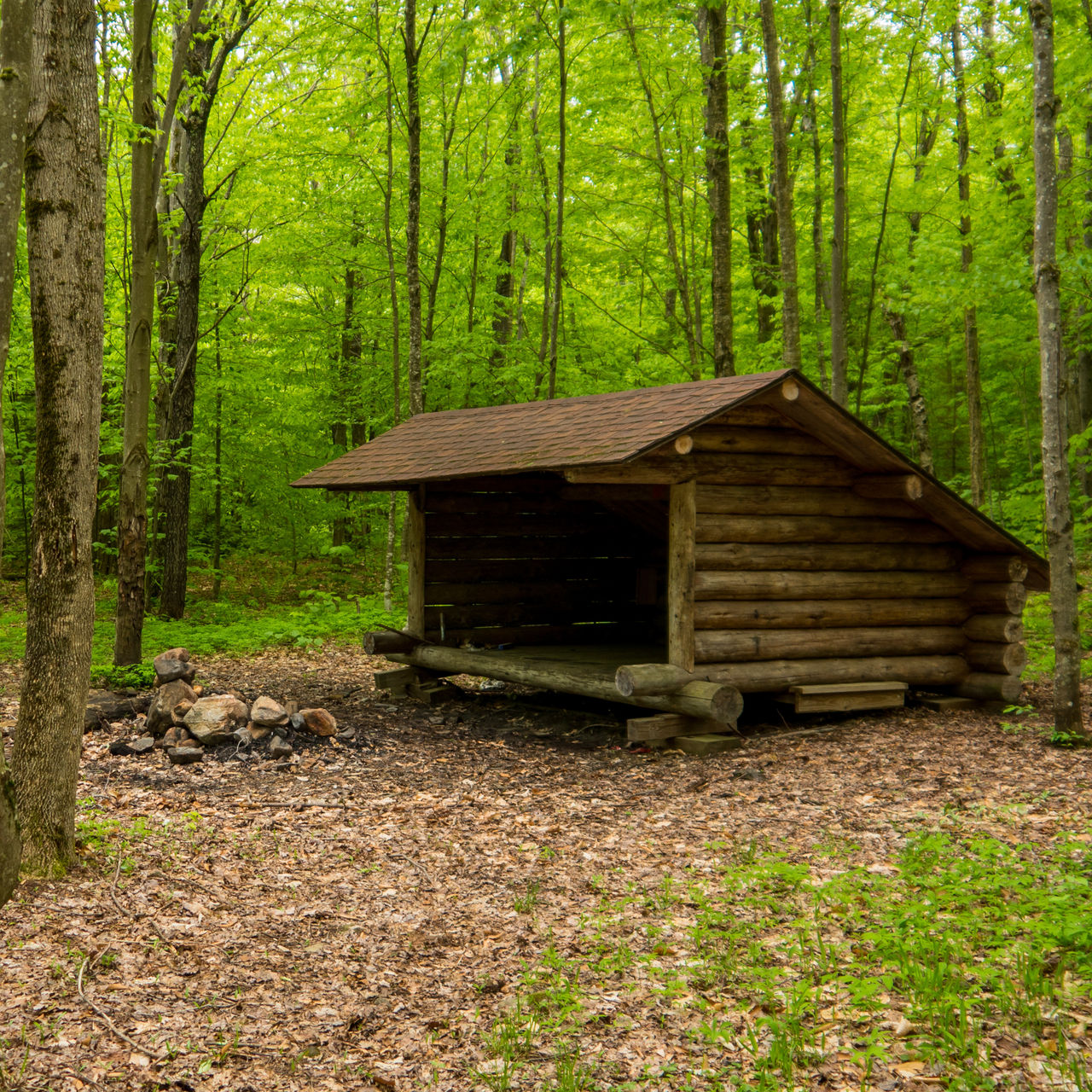 leanto shelter in the adirondacks