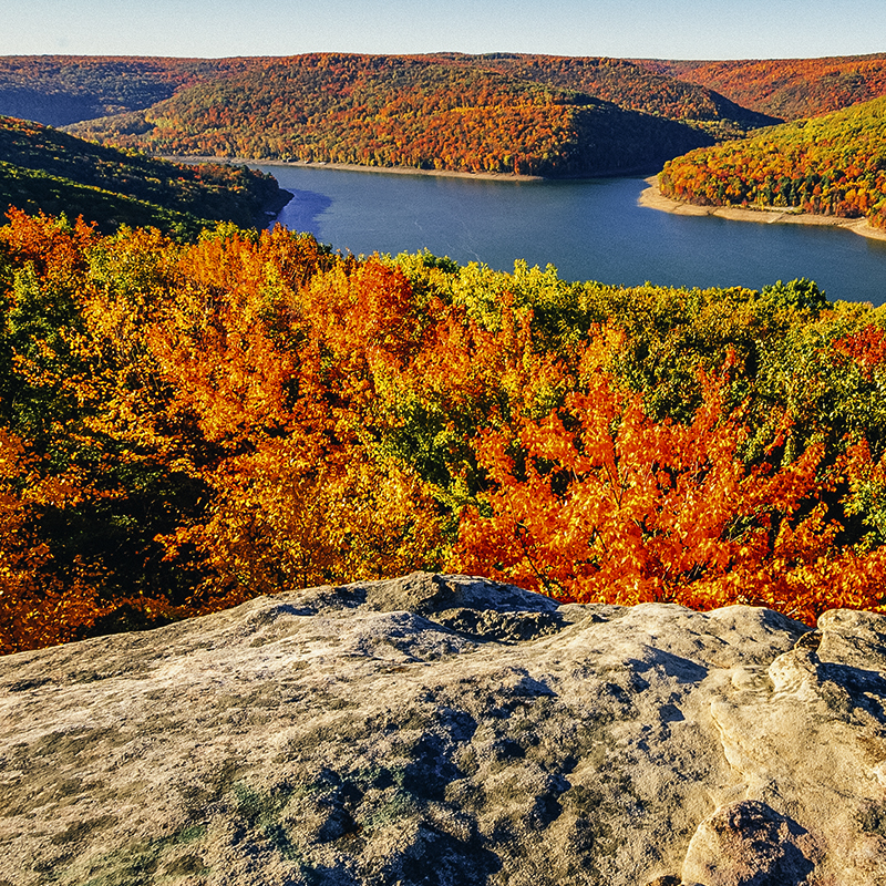 Allegheny National Forest Backpacking Morrison and Rimrock Trail
