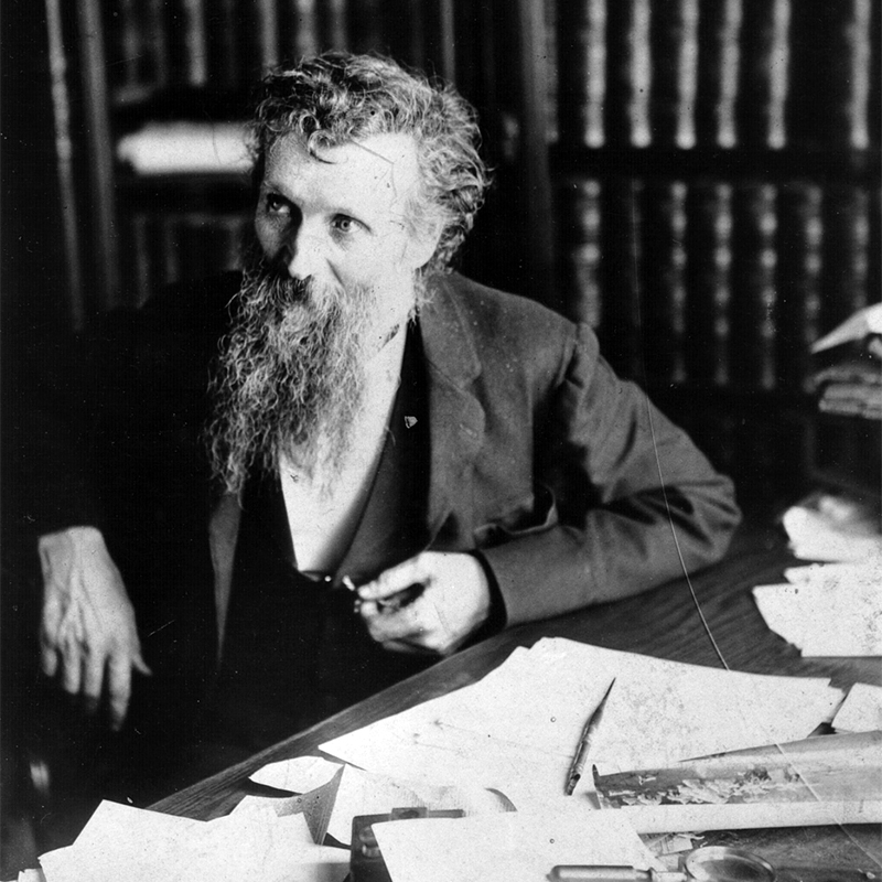 John Muir sits at his desk and writes. The desk is displayed in the "Scribble Den", which is in the upstairs of the Muir home in Martinez, CA.