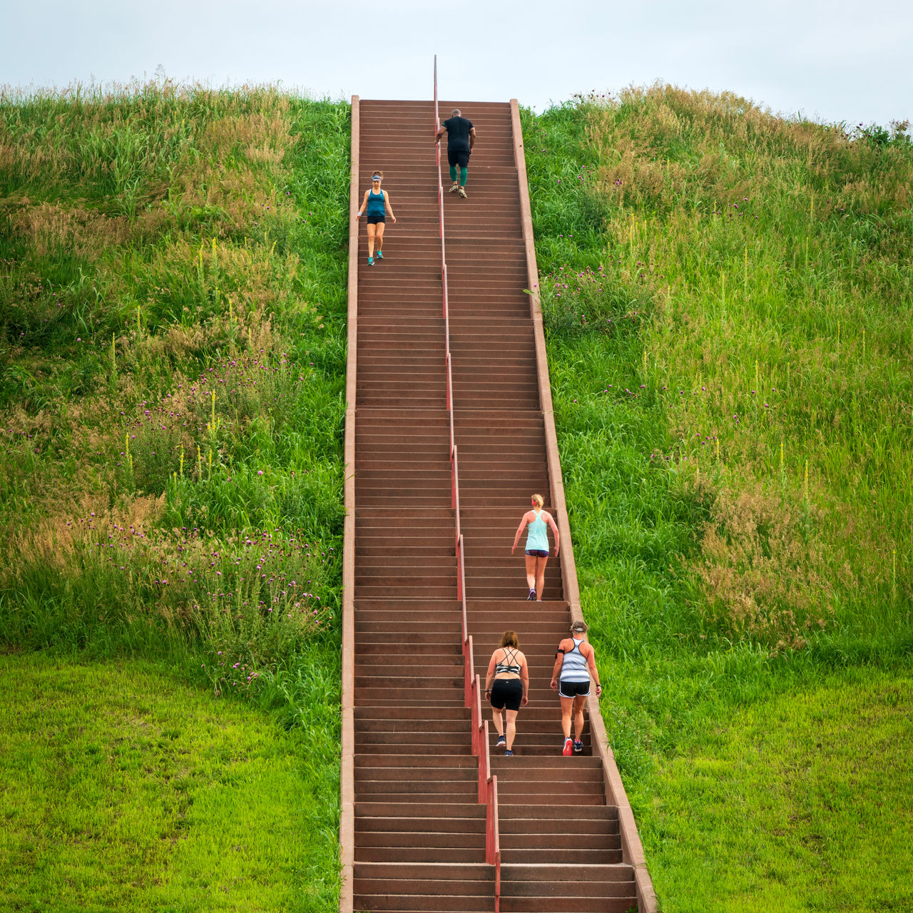 Stairs up Cahokia Mounds State Historic Site