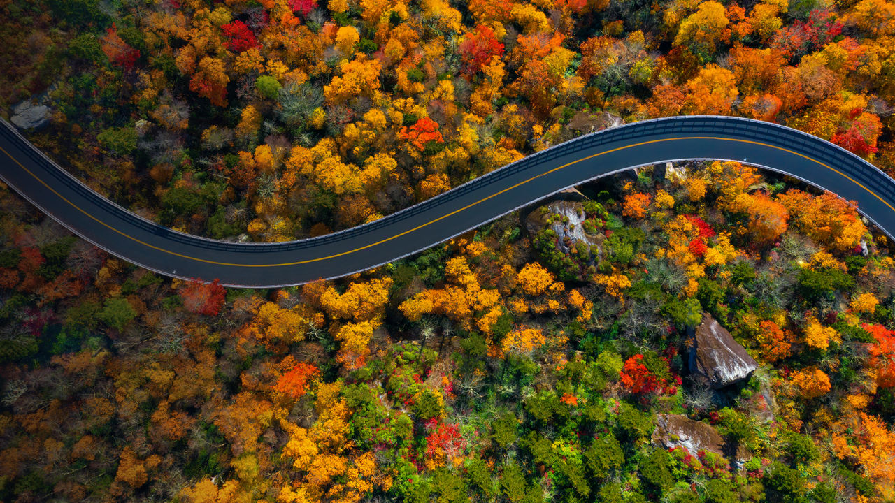 Blue Ridge Parkway in North Carolina in Fall colors. Looking straight down at the road.