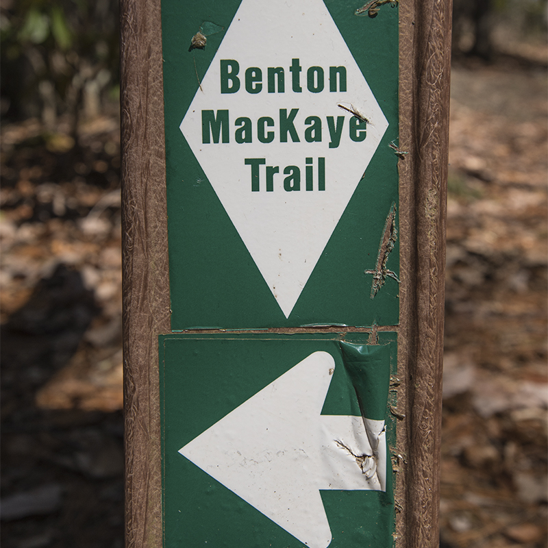 Benton MacKaye trail marker 
