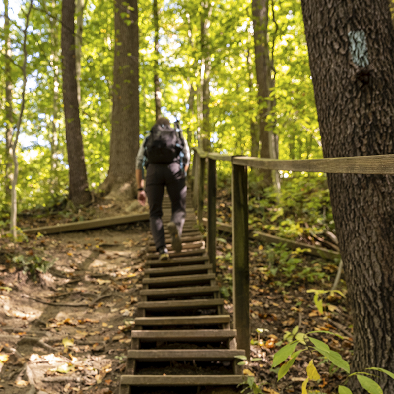 Man Climbs Steep Set of Stairs on the Buckeye Trail in Cuyahoga Valley National Park