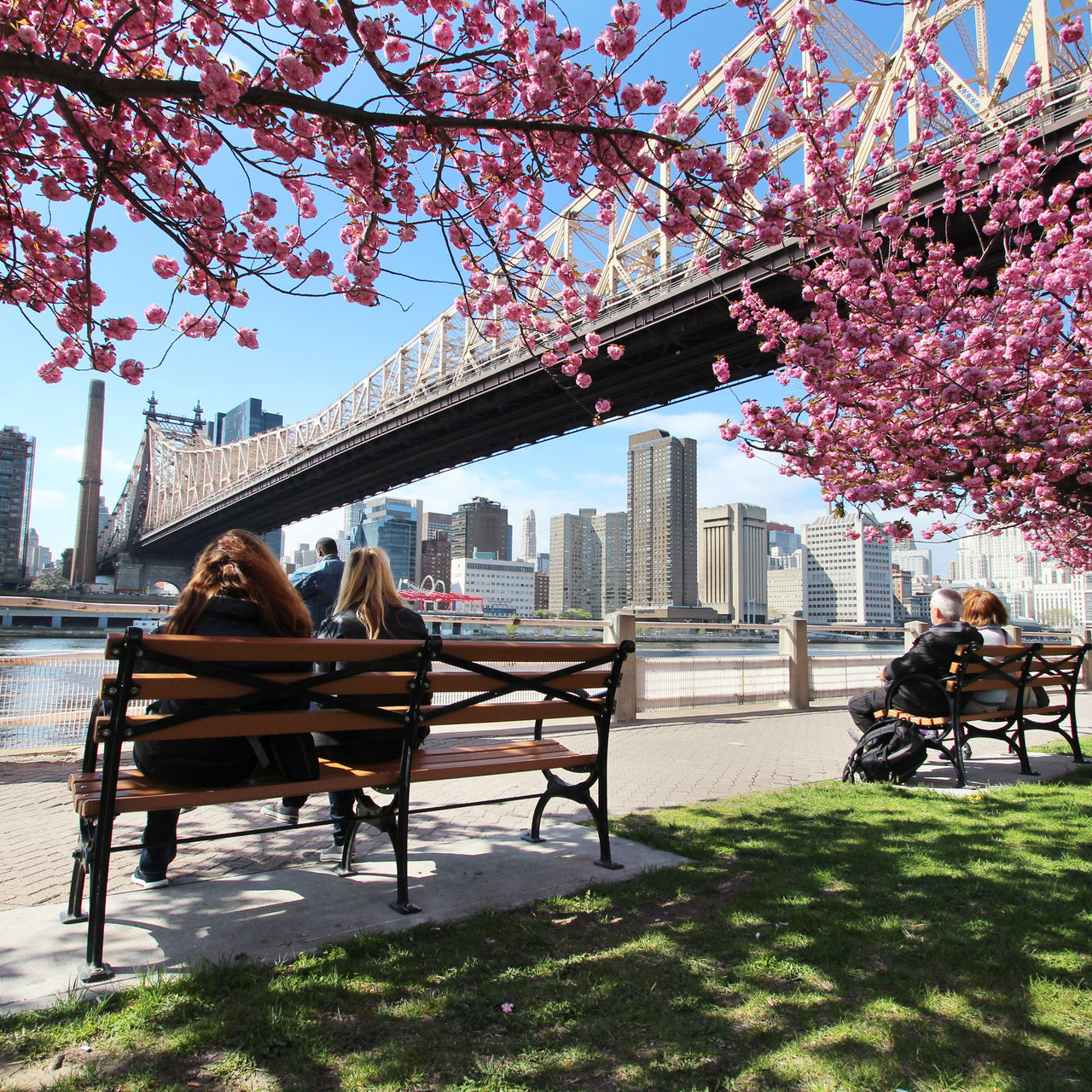 A view of people on Roosevelt Island New York