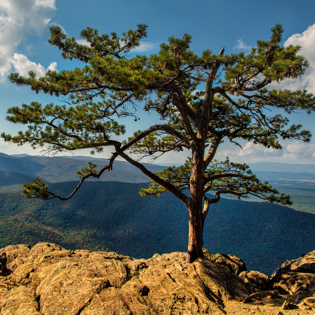 Virginia Raven’s Roost is a well known rock climbing spot
