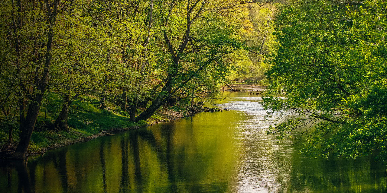 A swimming hole in Ohio