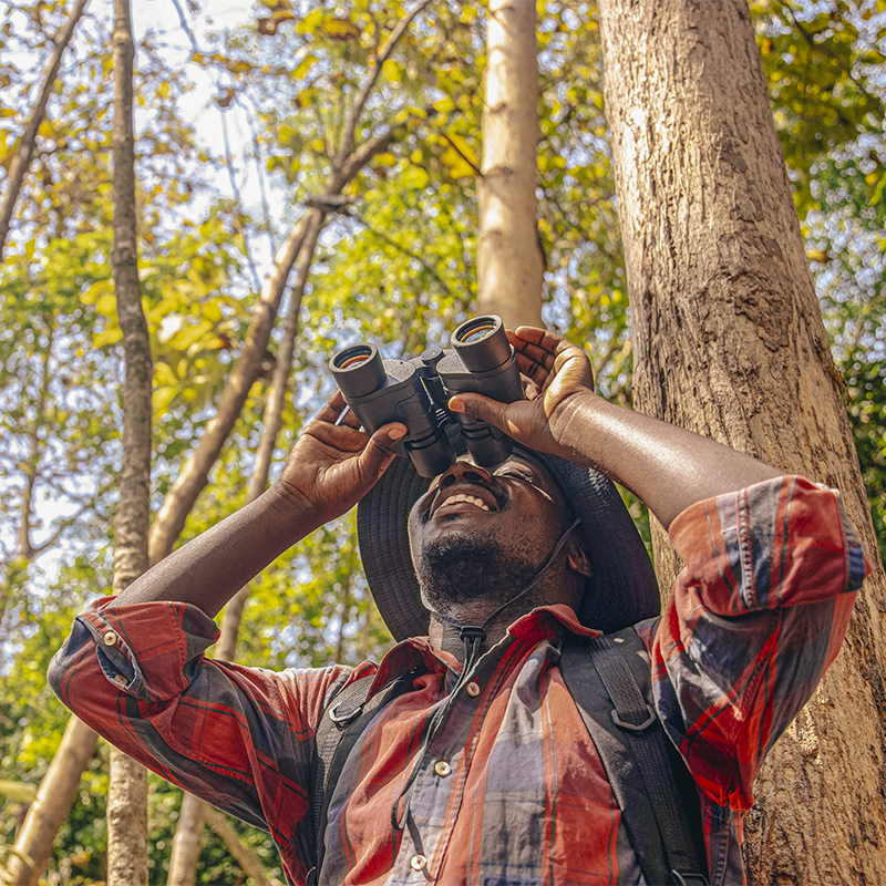 A male with binoculars looks for birds in the trees
