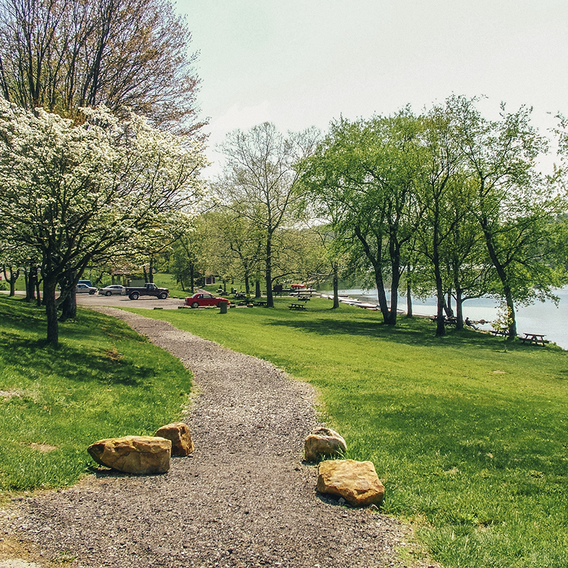 A view of a trail at Keystone State Park