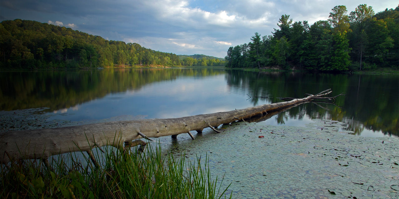 Lake Hope