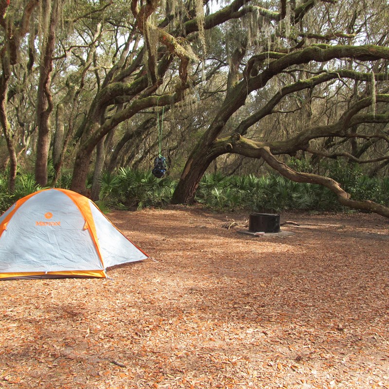 A tent is seen at a campsite at a Stafford Beach campground in Cumberland Island National Seashore