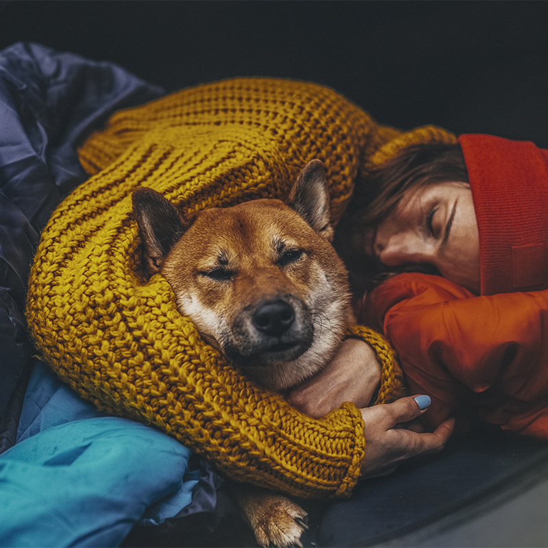 A girl sleeps hugging her dog in tent campsite
