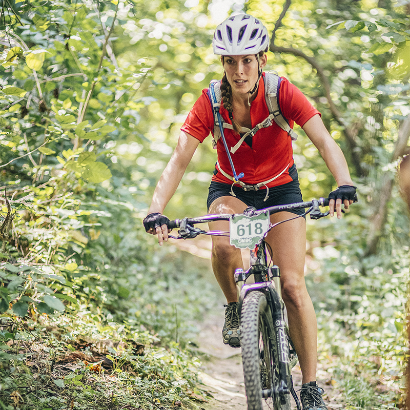 Chestnut ridge mountain bike trail on sale