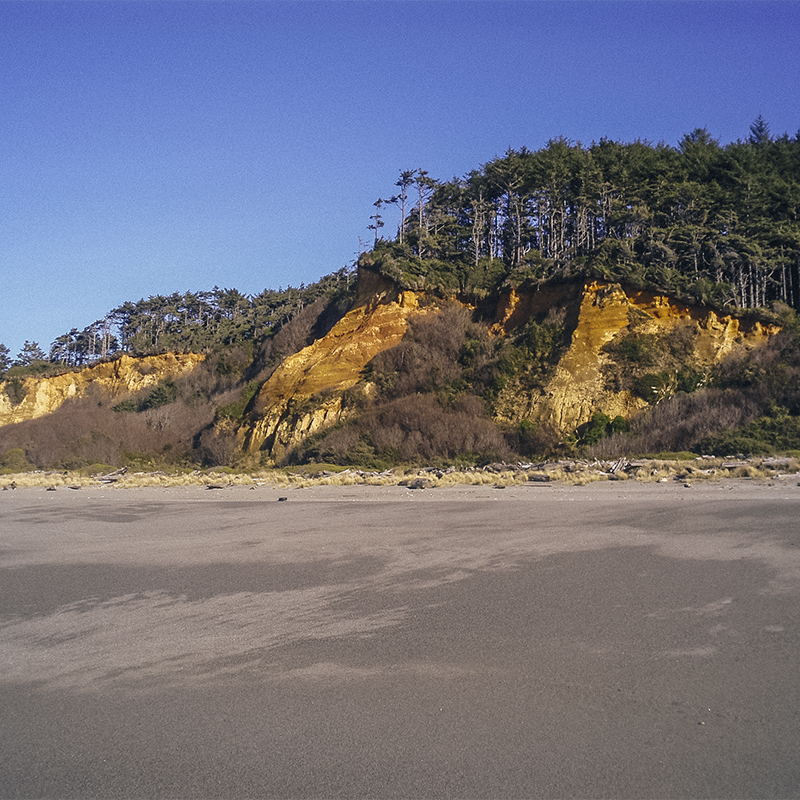 Gold Bluffs as seen from Gold Bluffs Beach.
