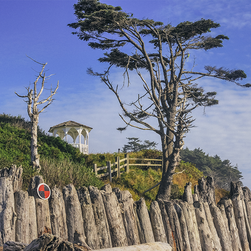 A view of the coast in Kalaloch, WA