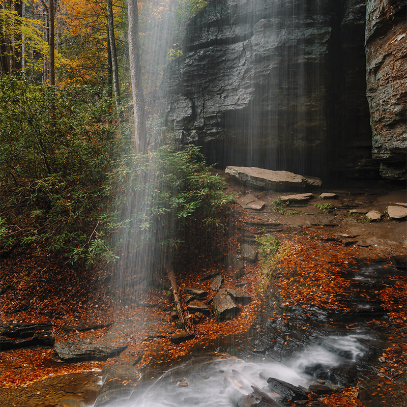 Pisgah national forest best hikes top