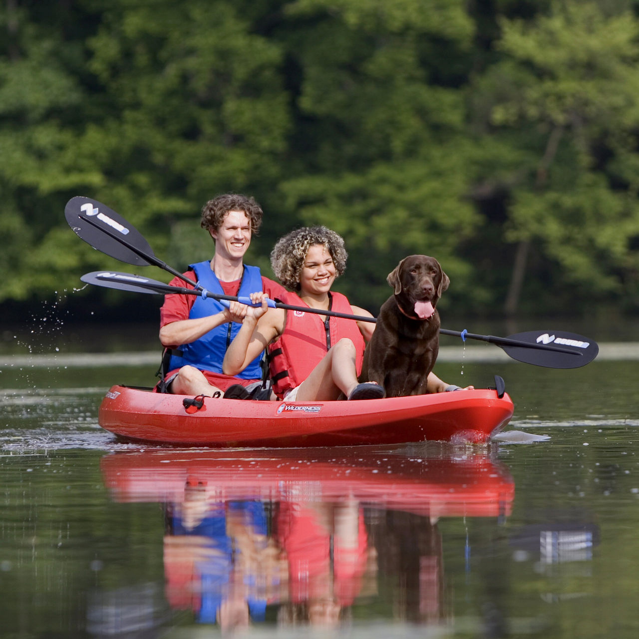 Two kayakers paddle with a dog