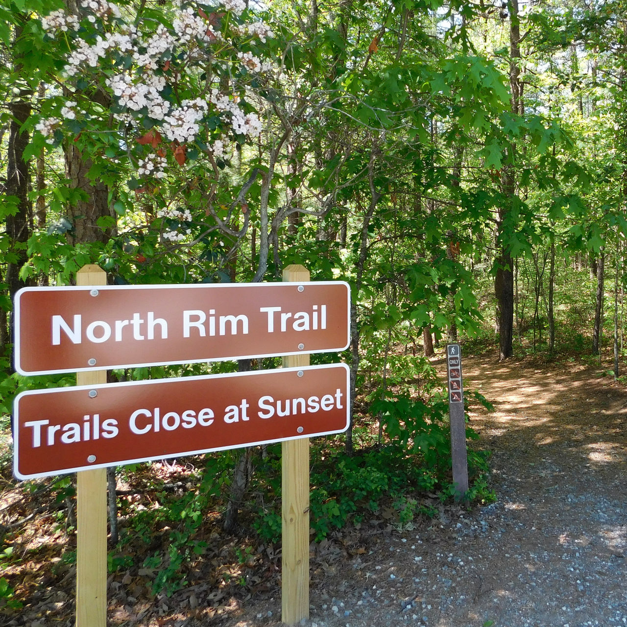 The North Rim trail in Tallulah Gorge State Park 