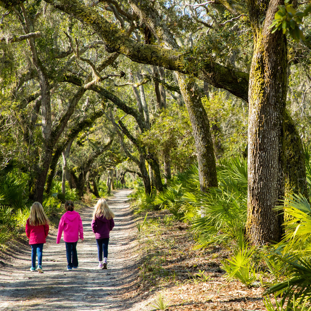 Three young girls take a walk on Cumberland Island