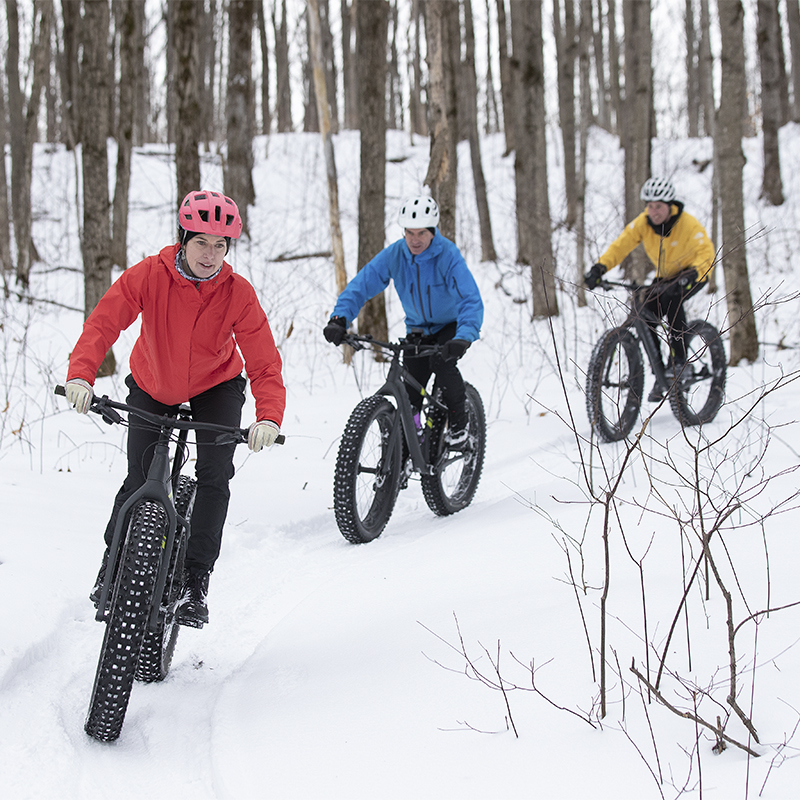Group of friends riding their fat bike in the snow