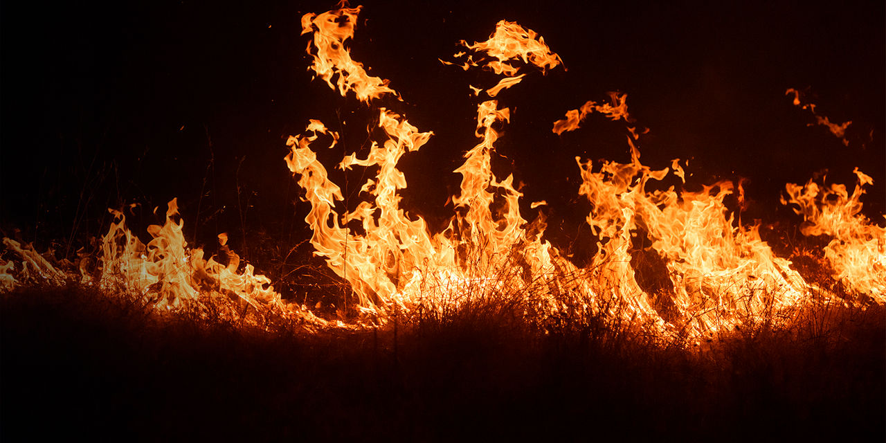 Flames leap as a wildfire burns in California 