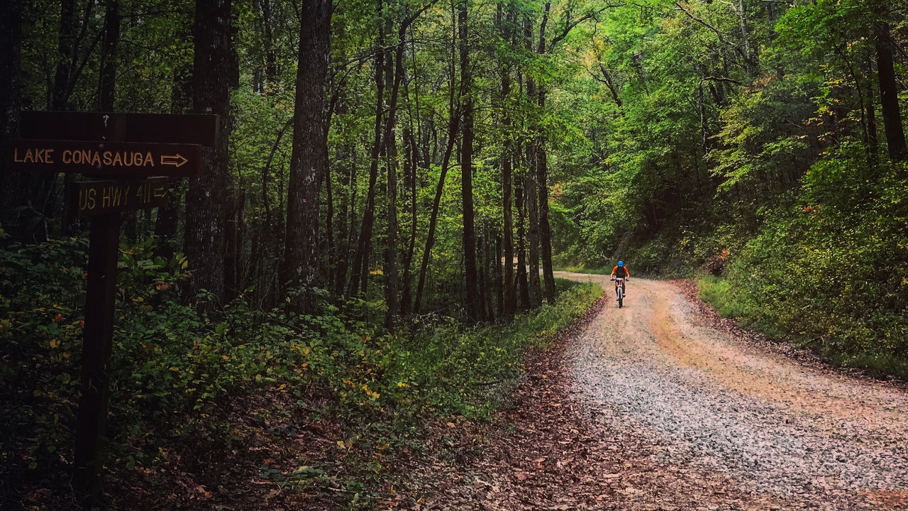 A biker rides on the fire road in Mulberry Gap, Georgia