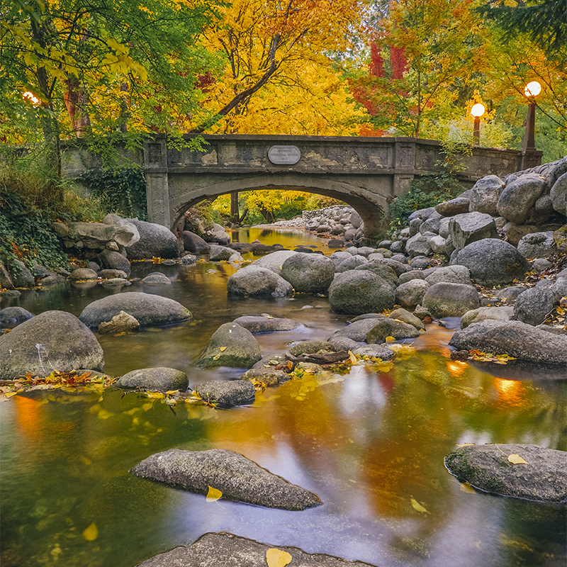A bridge with fall colors in Lithia Park