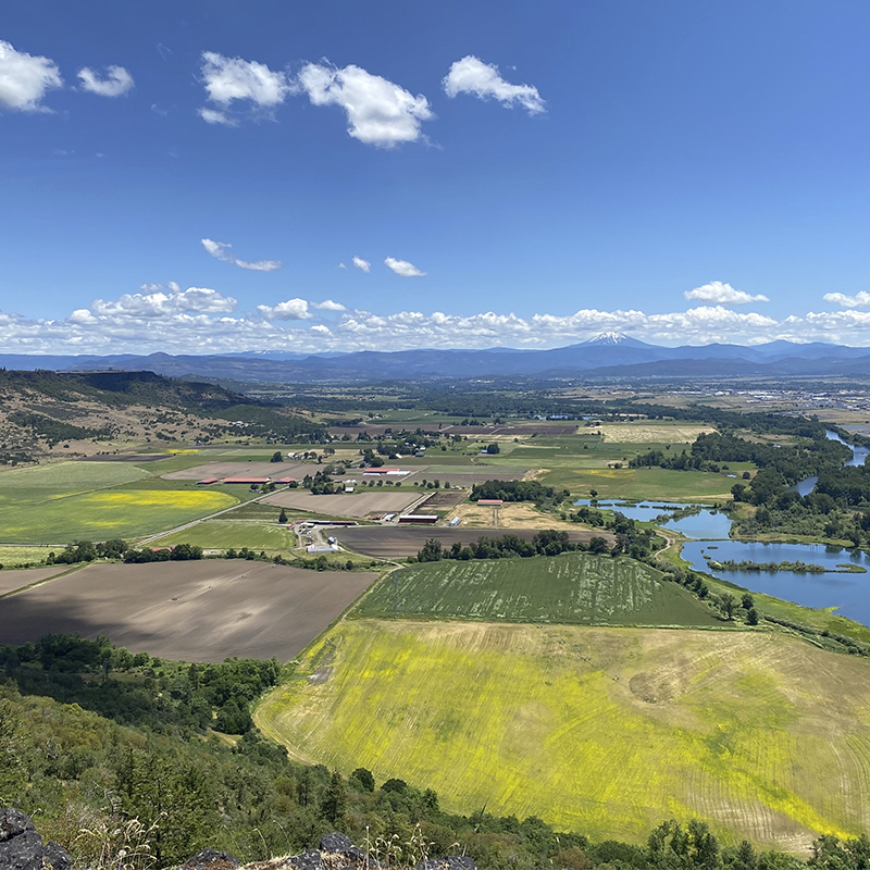 Aerial View of the lush green Rogue Valley in Southern Oregon from atop Table Rock Plateau with fields of green and yellow wildflowers.