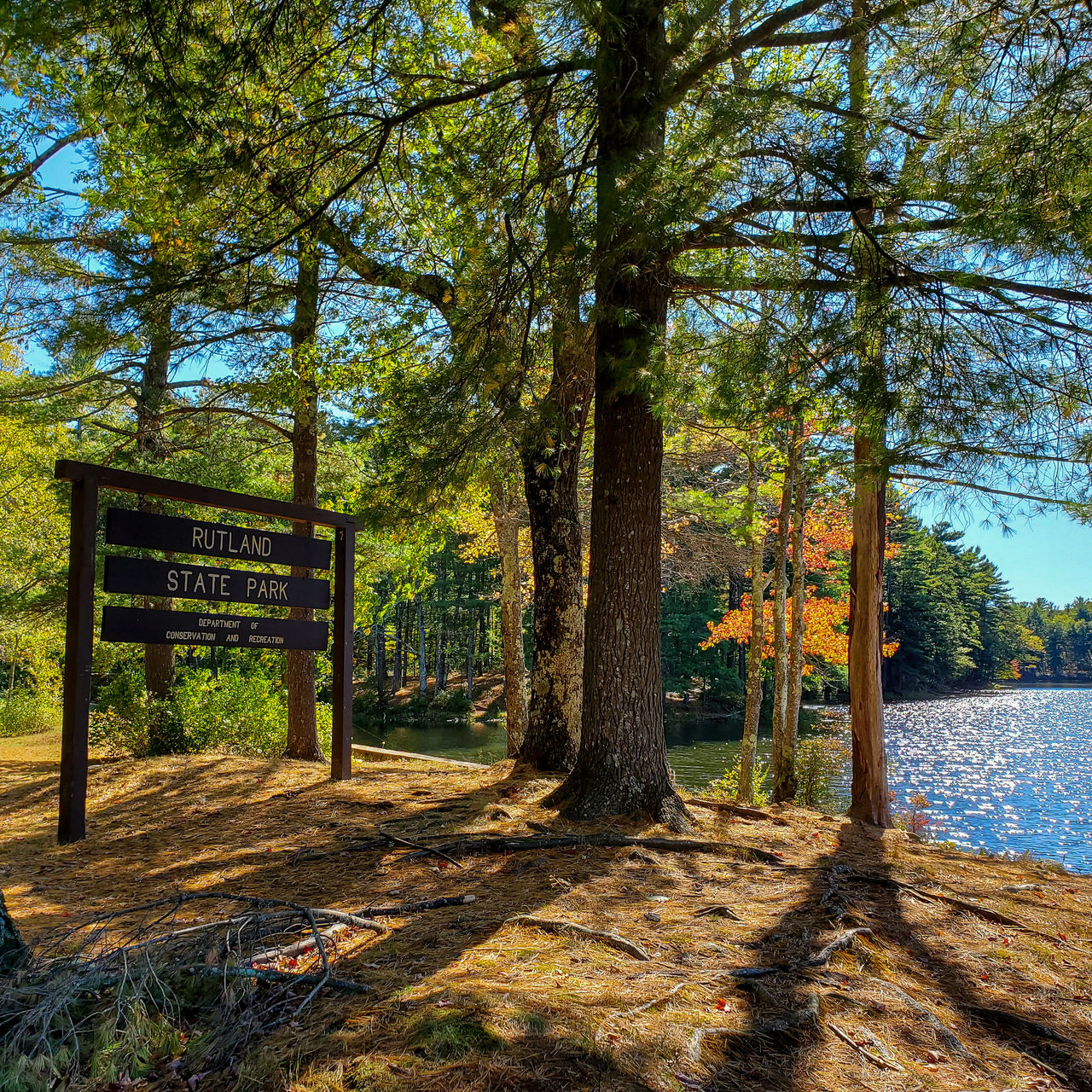 Escape To The Enchanted Forest: Your Guide To Rutland State Park, Massachusetts