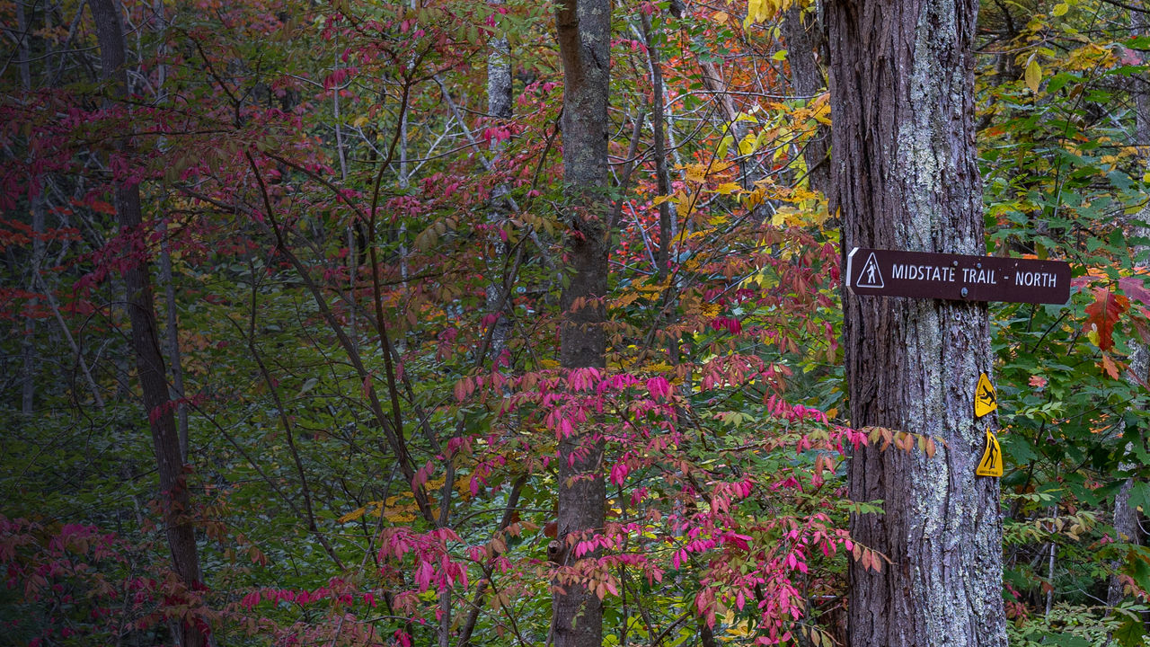 The Midstate trail in Massachusetts