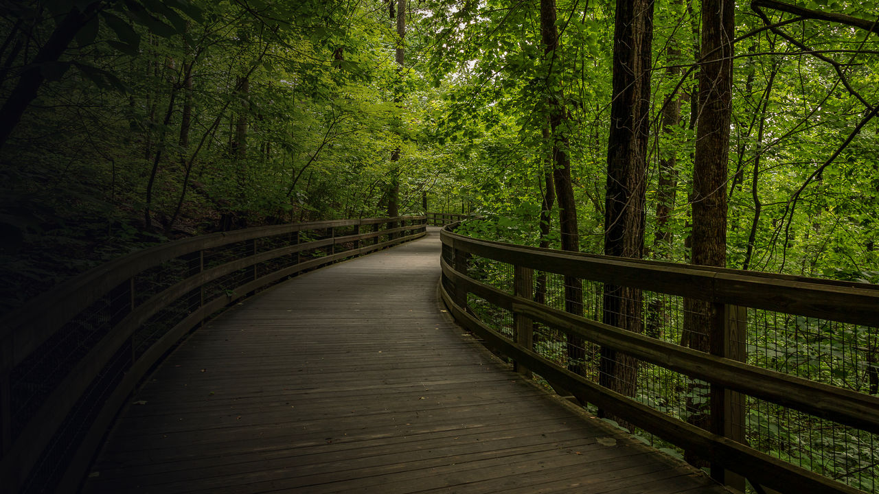 Footbridge along the Monticello Trail in Virginia