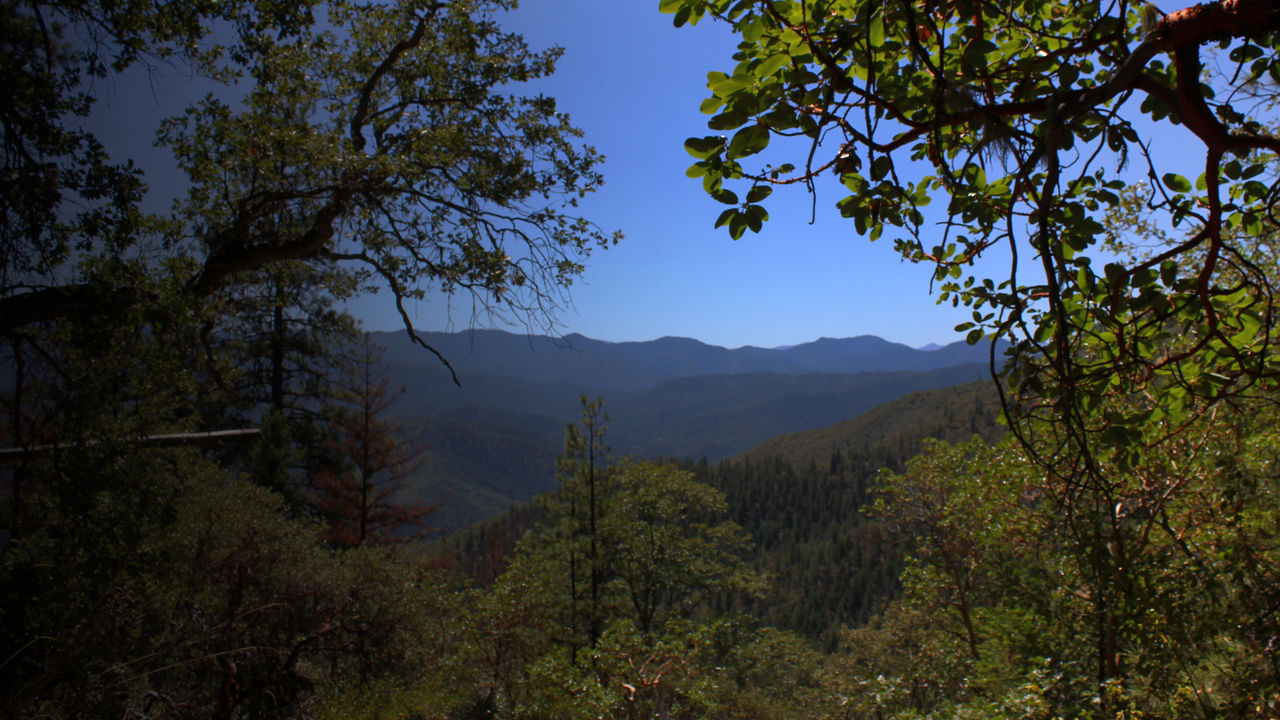 A view from the Sterling Mine Ditch Trail