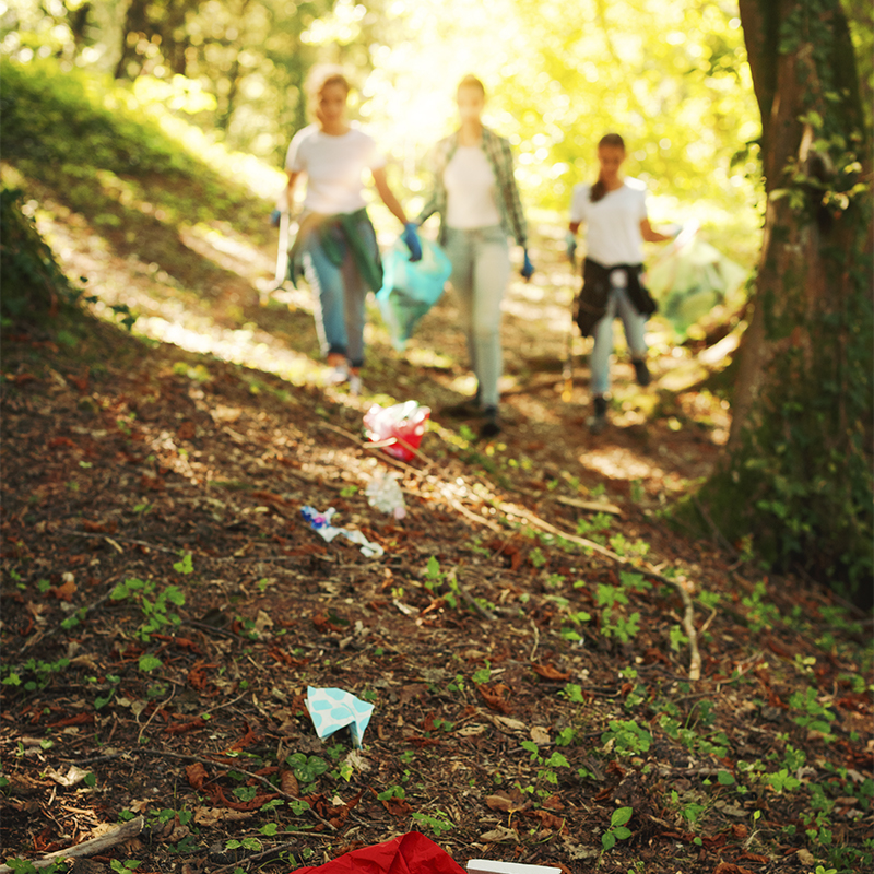 Young activists cleaning up trash in a forest