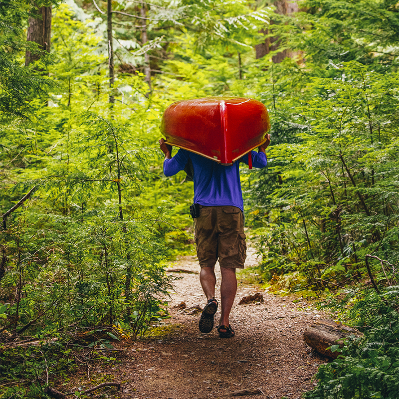 A person portages their canoe through the forest