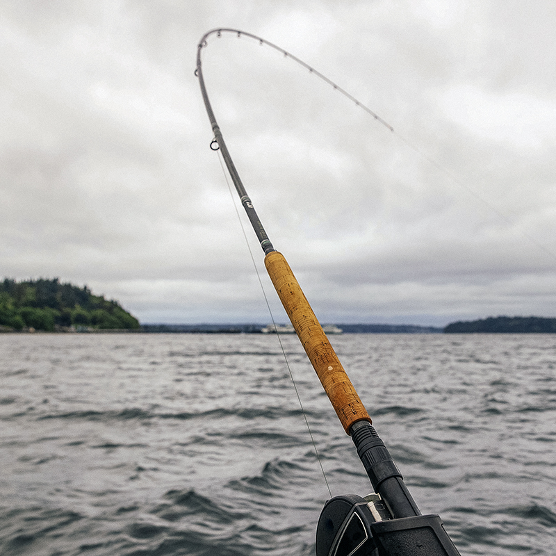 Saltwater Fishing rod on a boat.