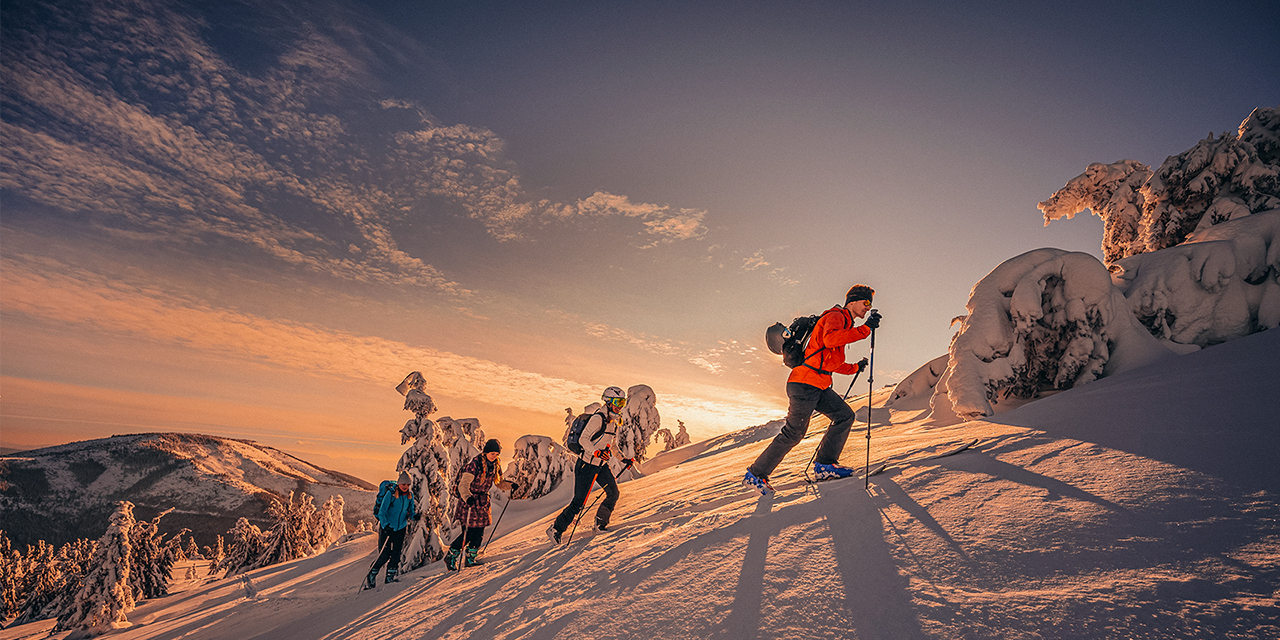 Group of skiers going up mountain