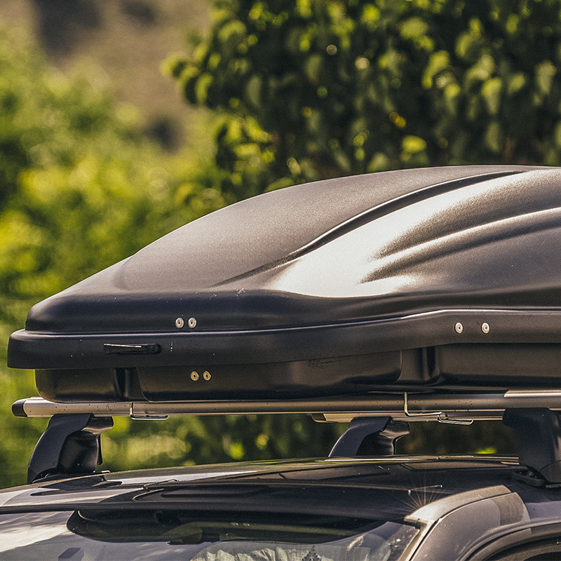 Carrier on hotsell top of car