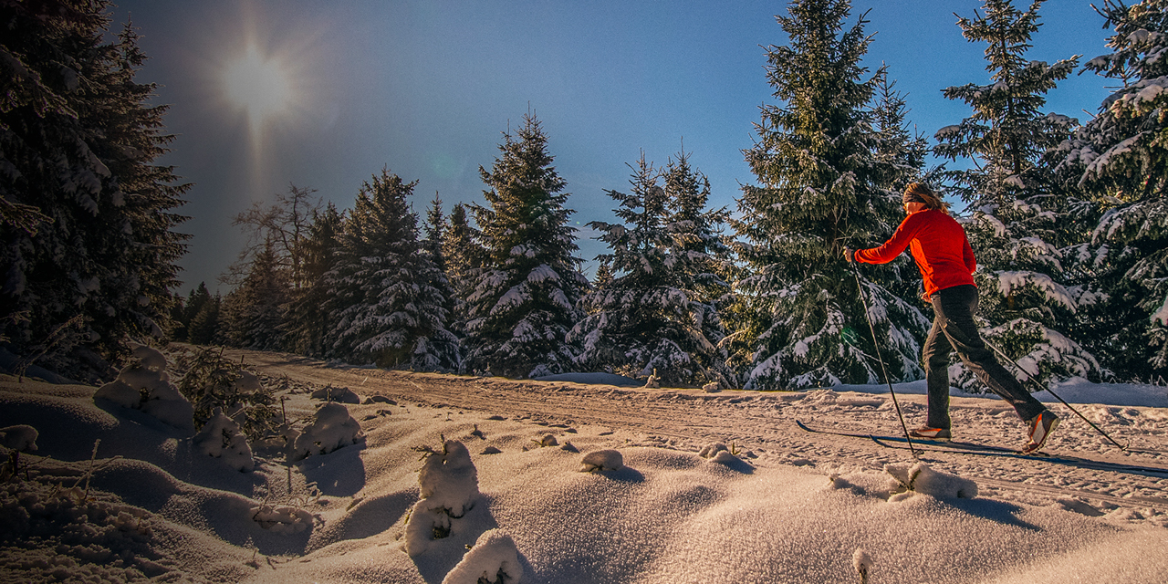 A women cross-country skiing in the sunny wintry forest