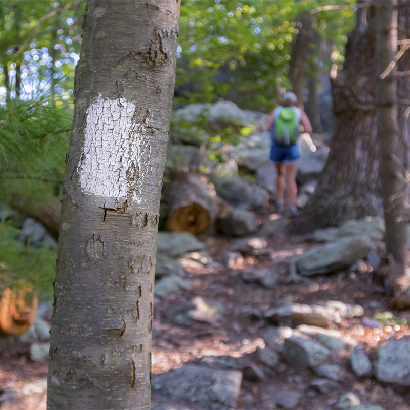 Appalachian Trail Blaze with Hiker in Background
