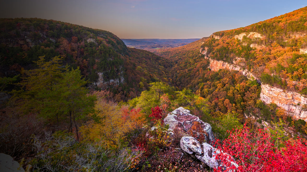 A view of Cloudland Canyon, Georgia in the fall