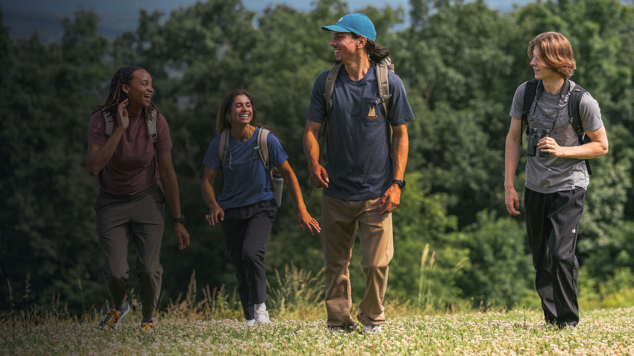 A group of friends hike together outside in the summer