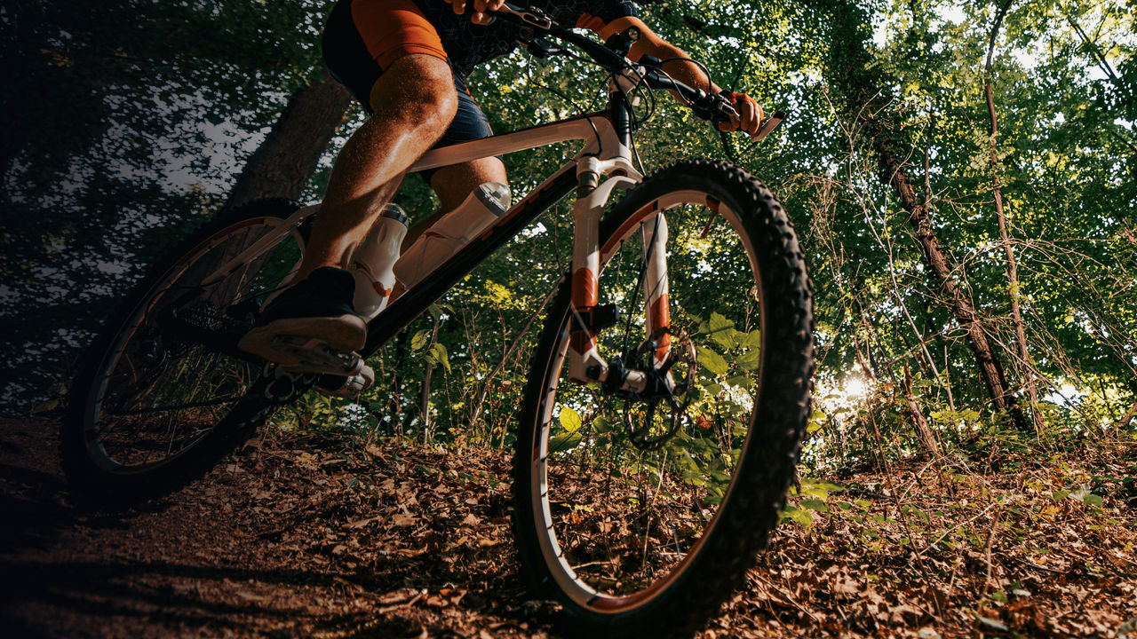 Mountain biker riding on bike in nature