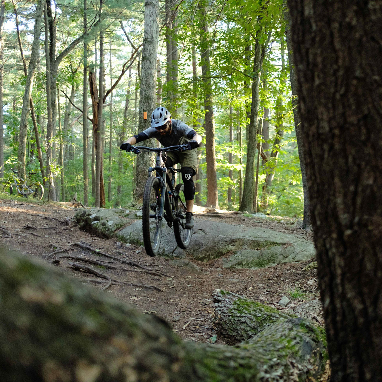 Lynn woods top mountain biking