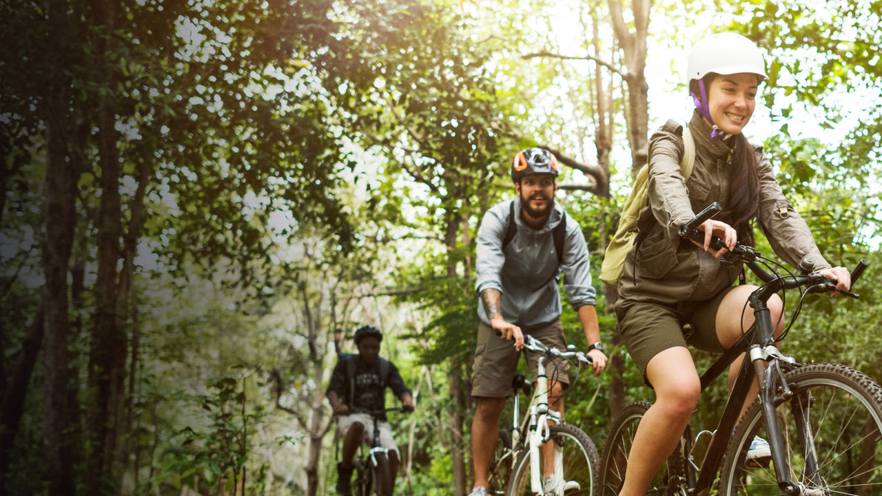 Group of friends ride mountain bike in the forest together