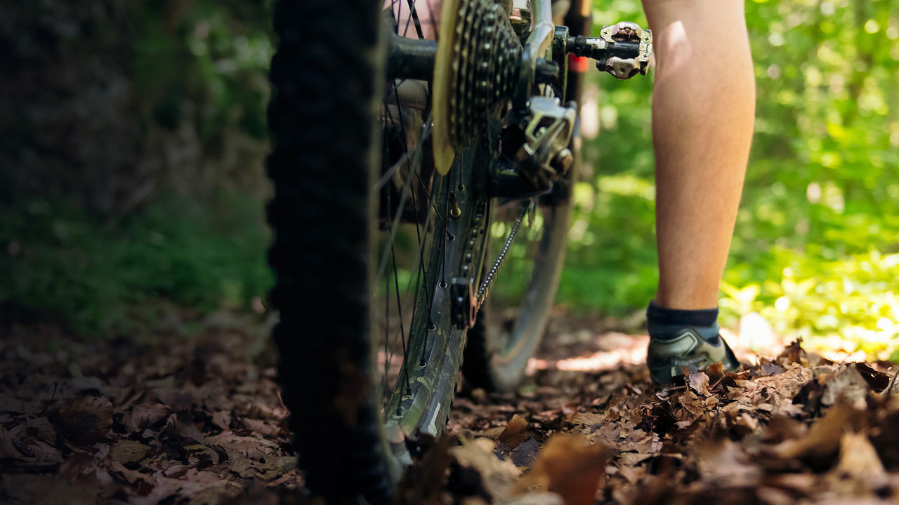 Cyclist leg and wheel of a mountain bike